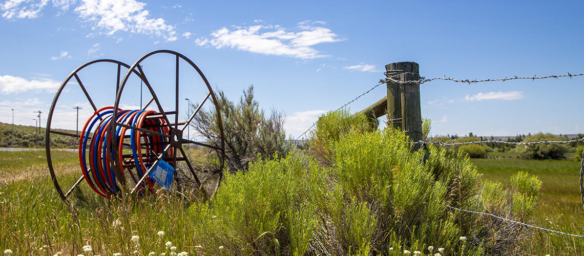 Business Council Seeks to Fill Two Open Positions on Broadband Advisory Council